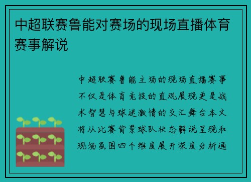中超联赛鲁能对赛场的现场直播体育赛事解说