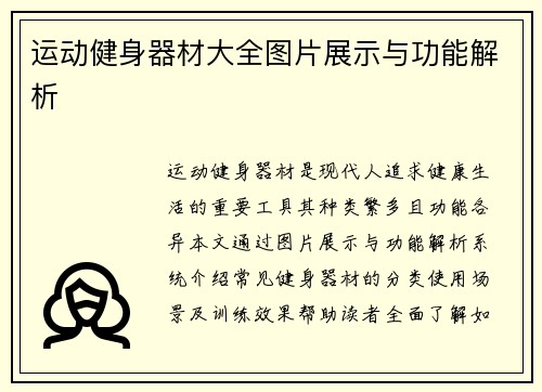 运动健身器材大全图片展示与功能解析